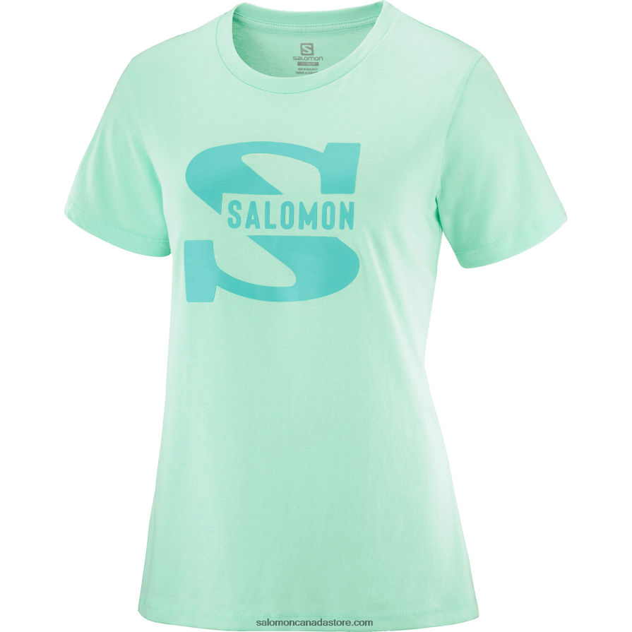 Women\'s Short Sleeve T-Shirt - Outlife Big Logo Salomon Beach Glass X6B4FZ902